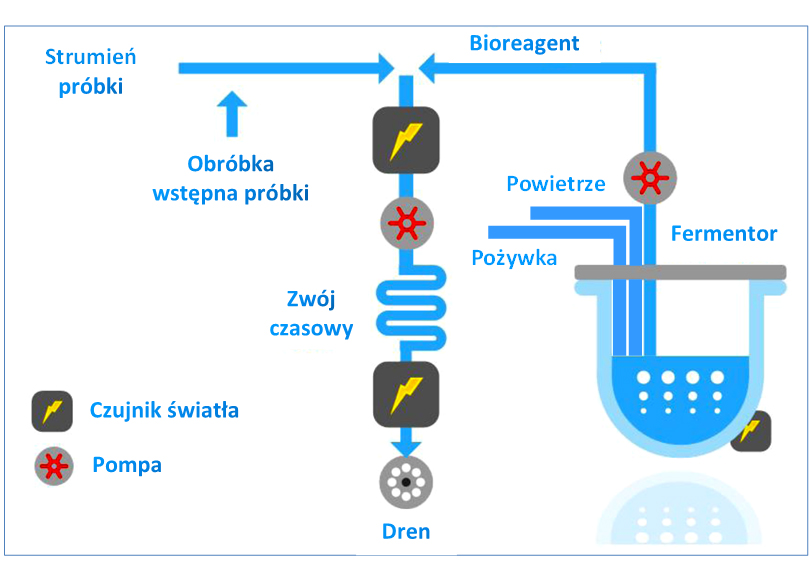 Jest to schemat przedstawiający element procesu biomonitoringu w oparciu o bakterie luminescencyjne prowadzonego w Aquanet