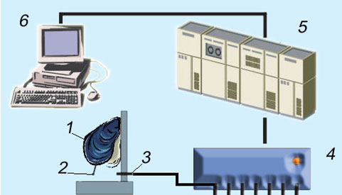 Jest to schemat przedstawiający mechanizm biomonitoringu stosowanego w Aquanet.