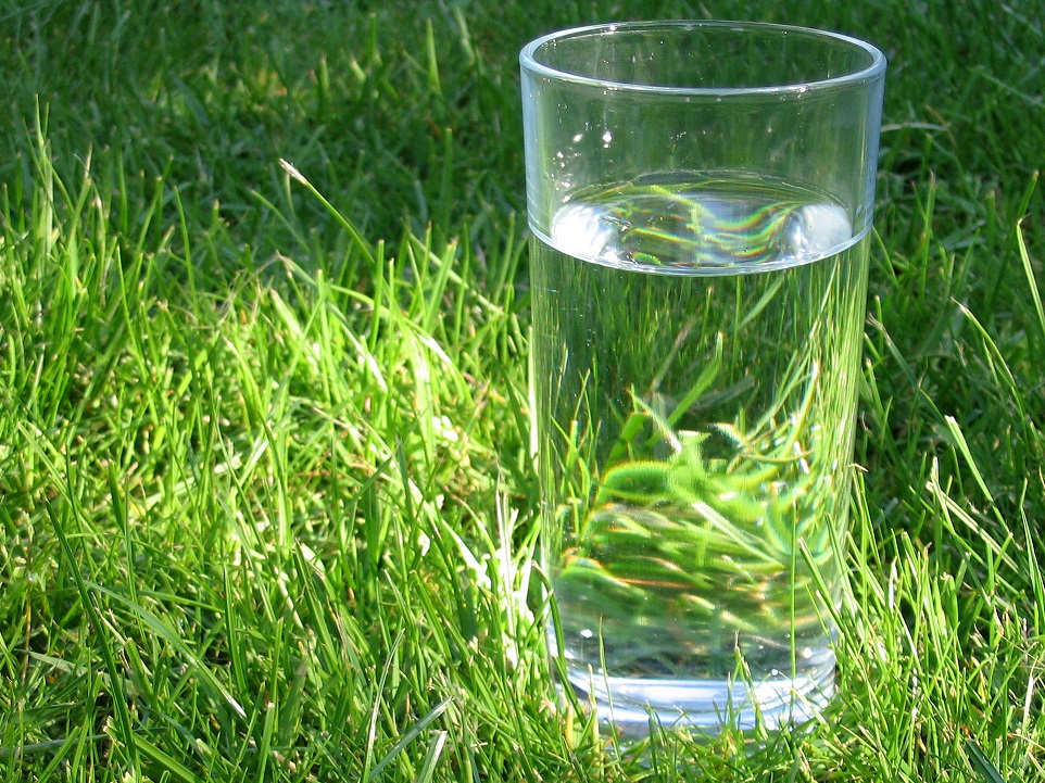 Na zdjęciu widać szklankę z czystą wodą ustawioną na zielonej trawie